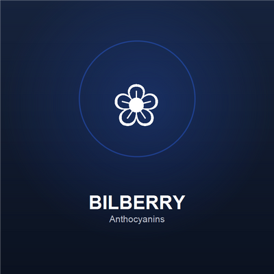 Bilberry & Astaxanthin